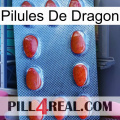 Dragon Pills 06